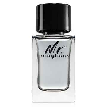 Burberry Mr. Burberry 100ml Eau de Toilette