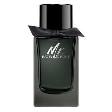 Burberry Mr Burberry 100ml Eau de Parfum