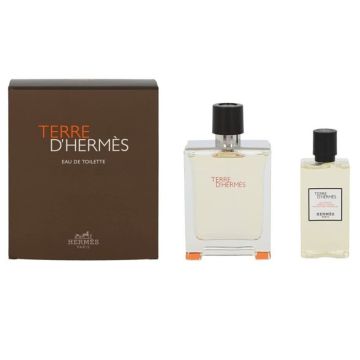 Hermes Terre D'Hermes 100ml Eau de Toilette + 80ml S/G Set