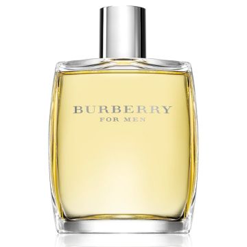 Burberry Original for Men 100ml Eau de Toilette