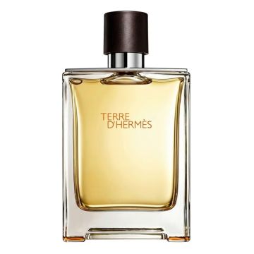 Hermes Terre D'Hermes 100ml Eau de Toilette